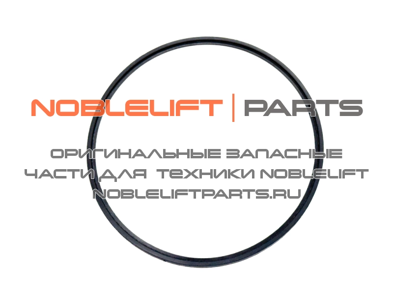 961000700009 Сальник