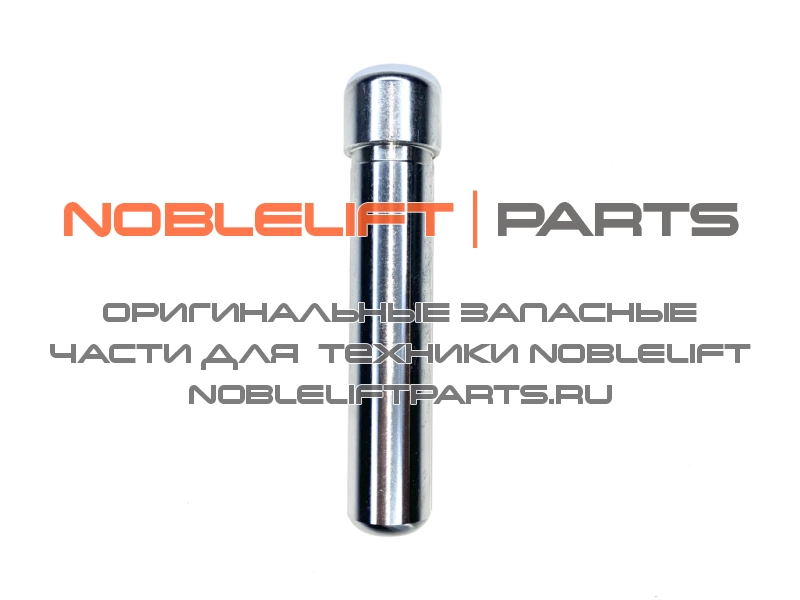 DFD101 Плунжер (малый шток) DF30