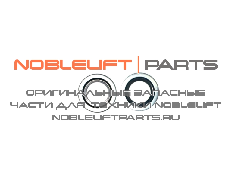 910800900005 Шайба комбинированная RT20ProH
