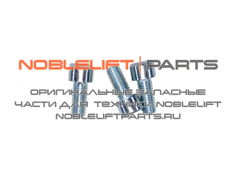 910200200076 Винт крепления бокового ролика PTE12N