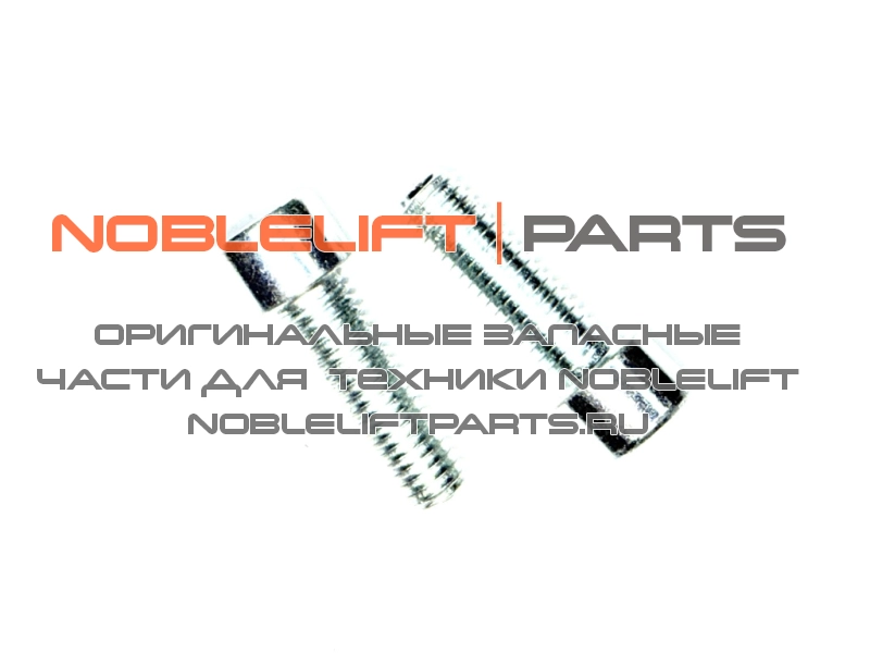 910200200058 Винт PS12N