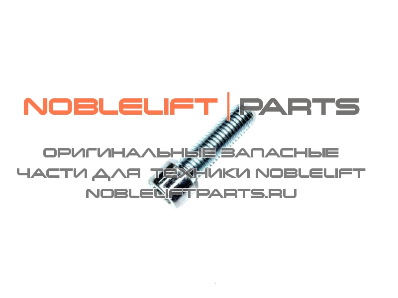 910200200078 Винт PT25N