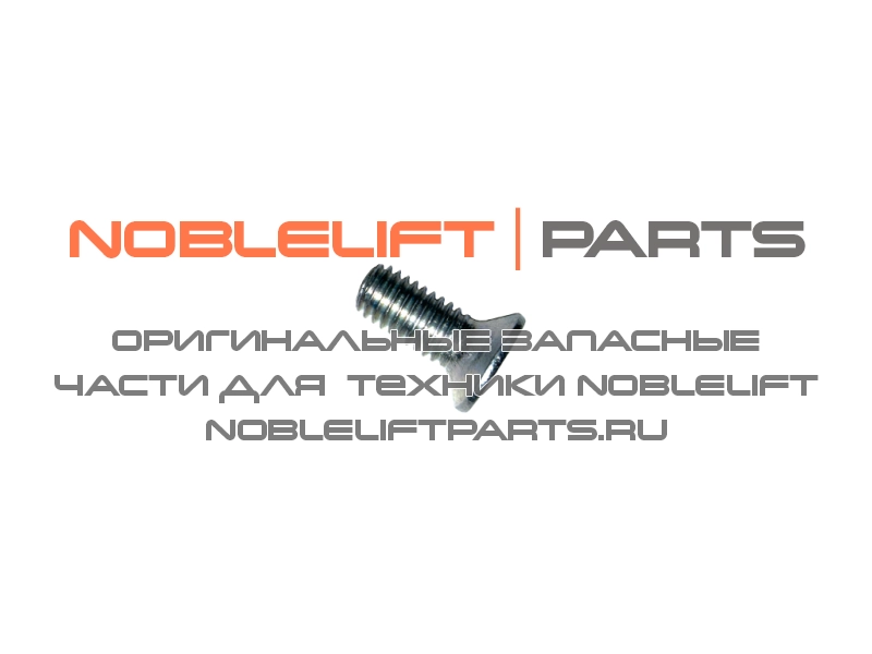 910200600016 Винт RT16Li